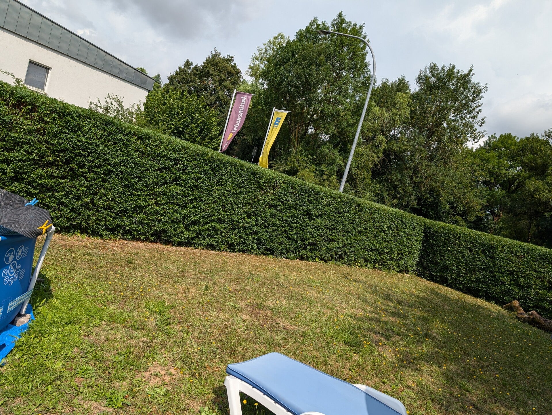 Präzise in Form geschnittene Hecke