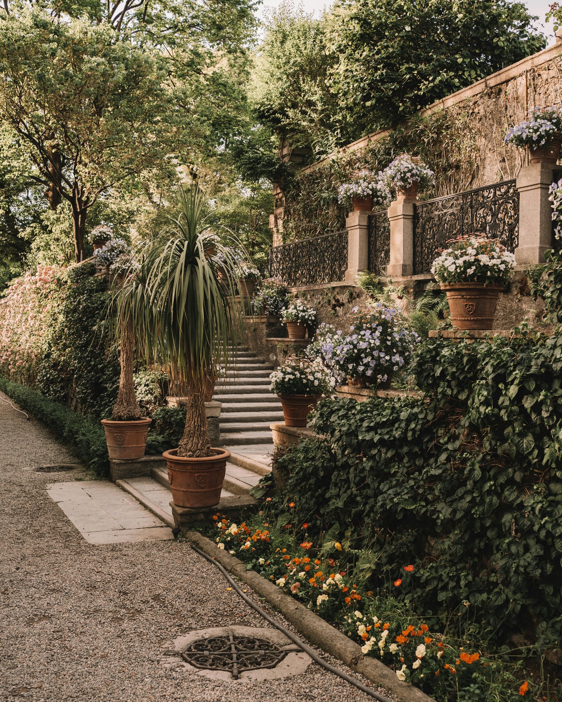 Gepflegter, grüner Garten