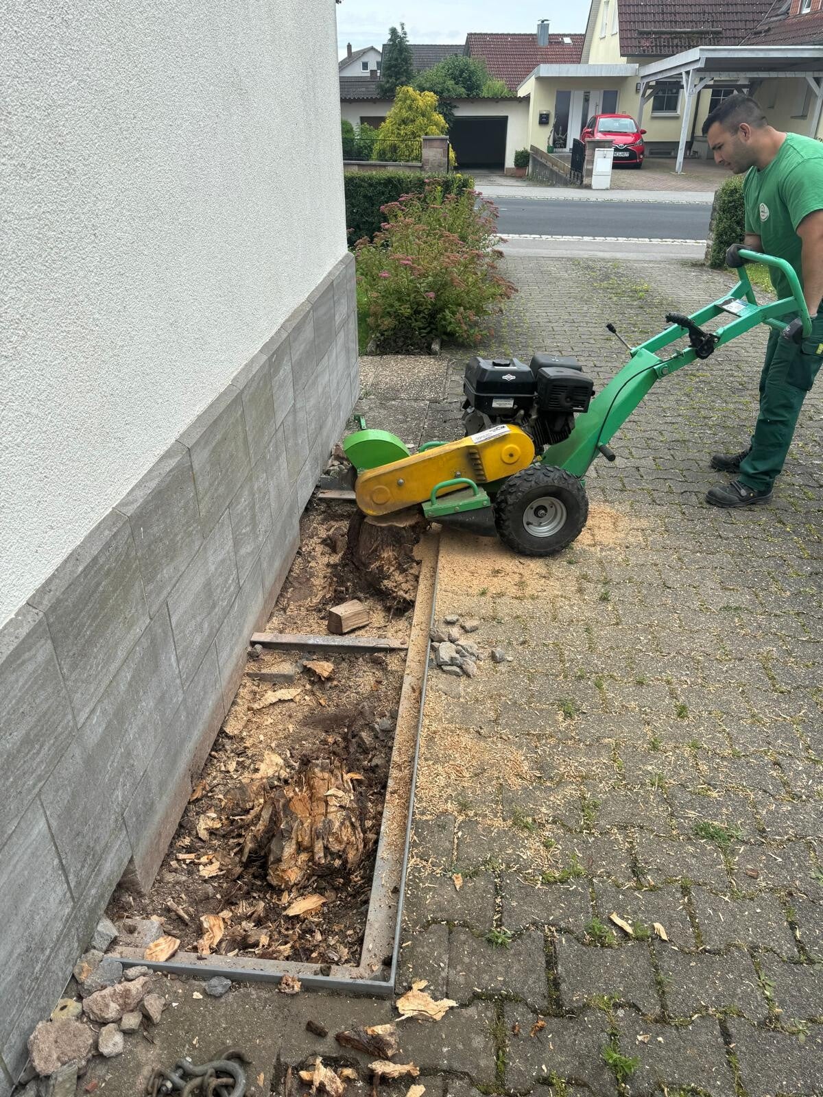 Baumwurzel wird mit einer Stubbenfräse entfernt